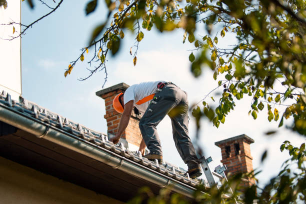 Best Storm Damage Roof Repair  in Port Wentworth, GA