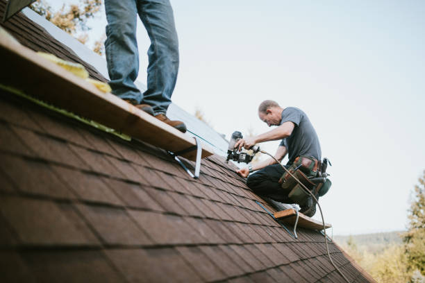 Quick and Trustworthy Emergency Roof Repair Services in Port Wentworth, GA